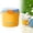 Orange, variant on Dual-Wall Insulated Ice Cooler Bucket, Ice Bucket with Lid, Portable Ice Storage Container, Long Lasting Ice Retention Ice Container, Mini Cool Box for Outdoor Party Bar Cocktail Drinks, Green