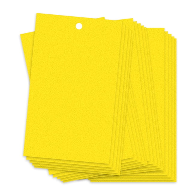 Pegatina Trampas adhesivas para mosquitos de hongos de insectos de plantas voladoras 20 piezas 20 * Tomshoo amarillo-20X15cm