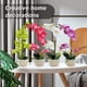 thumbnail image 3 of Bearachild Orquídeas artificiales Flor Decoración para el hogar Ligero Decoración falsa Plantas Cuenco blanco Olla Cocina Oficina Balcón Decoración Púrpura Bearachild HA084089-04, 3 of 6