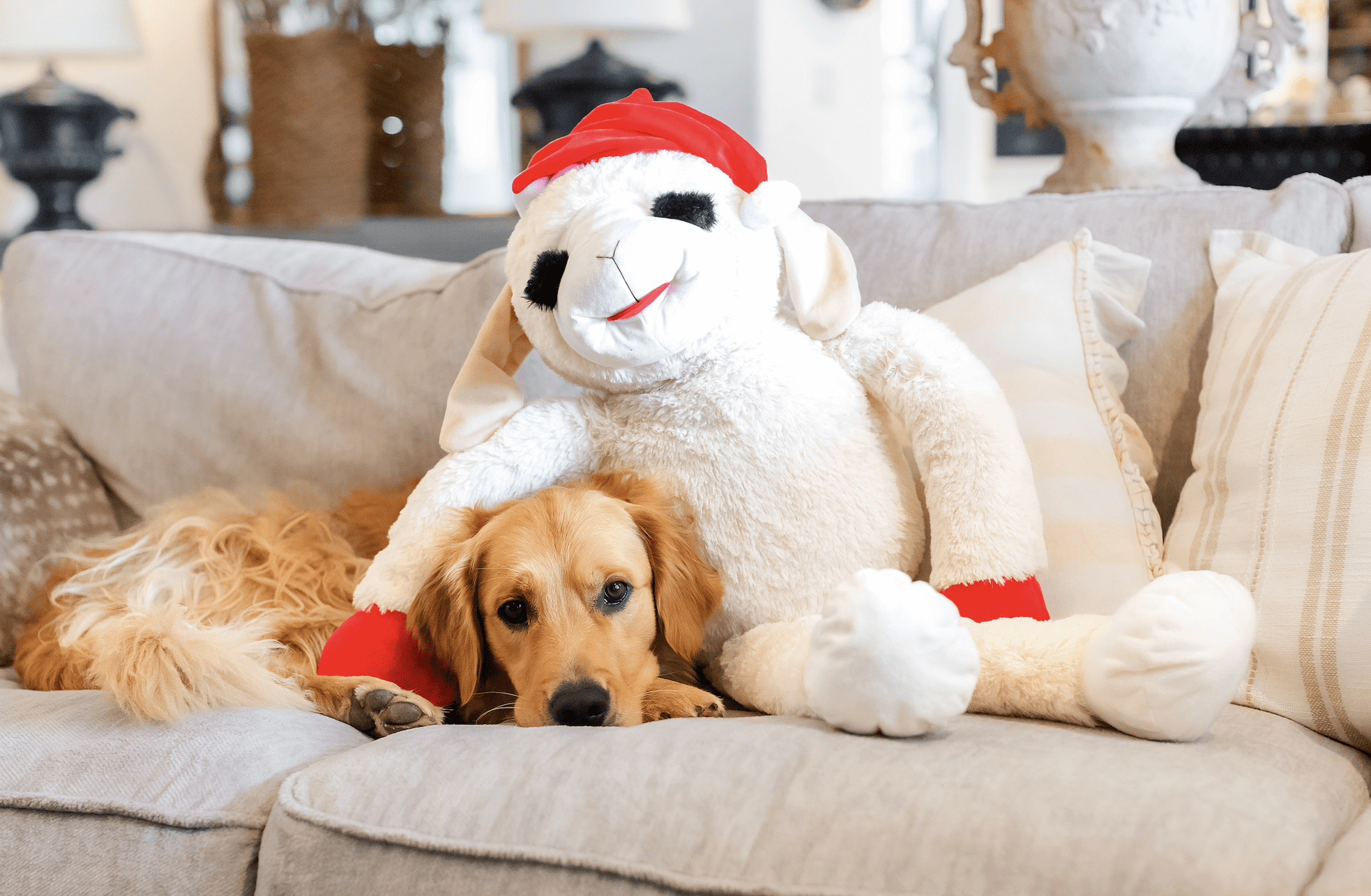 Multipet Holiday Super-Sized Plush Lamb Chop with Santa Hat, 3 Feet Tall, Limited Edition