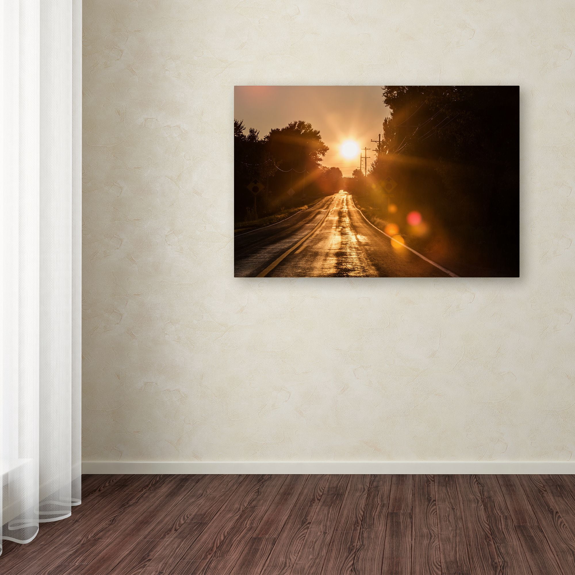 Trademark Fine Art "Sun Soaked Road" Canvas Art by Jason Shaffer