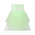 thumbnail image 5 of Flower Girls Dress Green Dancing Ball Gown Princess Party 7, 5 of 7