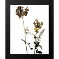 thumbnail image 2 of Goldberger, Jennifer 15x18 Black Modern Framed Museum Art Print Titled - Watermark Wildflowers V, 2 of 5