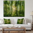 thumbnail image 4 of Design Art - Panorama de Forêt avec Rayons de Soleil, 4 of 5