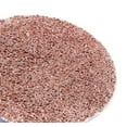 thumbnail image 3 of Benchmark Abrasives 2" Quick Change A/O Sanding Discs with a Male R-Type Backing Surface Prep Polish Burr Rust Paint Removal Use with Die Grinder (25 Pack) - 240 Grit, 3 of 3