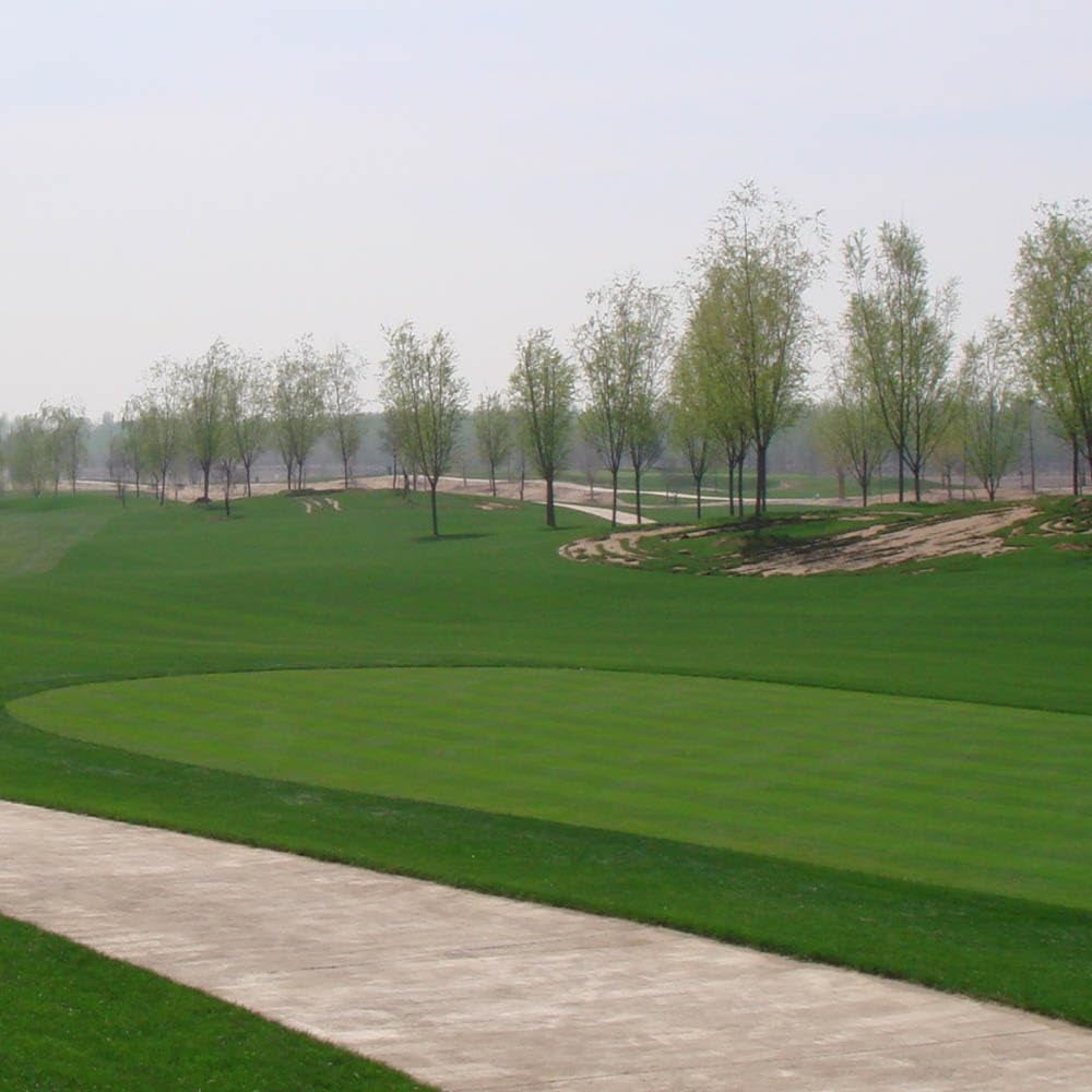 Outsidepride 1 lb. A-List Turf T-1 Coated Creeping Bentgrass Seed for Putting Greens, Tees, & Fairways