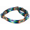 thumbnail image 6 of Country Brook Petz® Tie Dye Flowers Martingale Dog Collar, Extra Small, 6 of 7