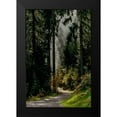 thumbnail image 2 of Murdock, Ramona 13x18 Black Modern Framed Museum Art Print Titled - Light in the Forest, 2 of 5