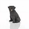 thumbnail image 3 of Conversation Concepts Figurine Miniature de Chien Carlin - Noir, 3 of 4