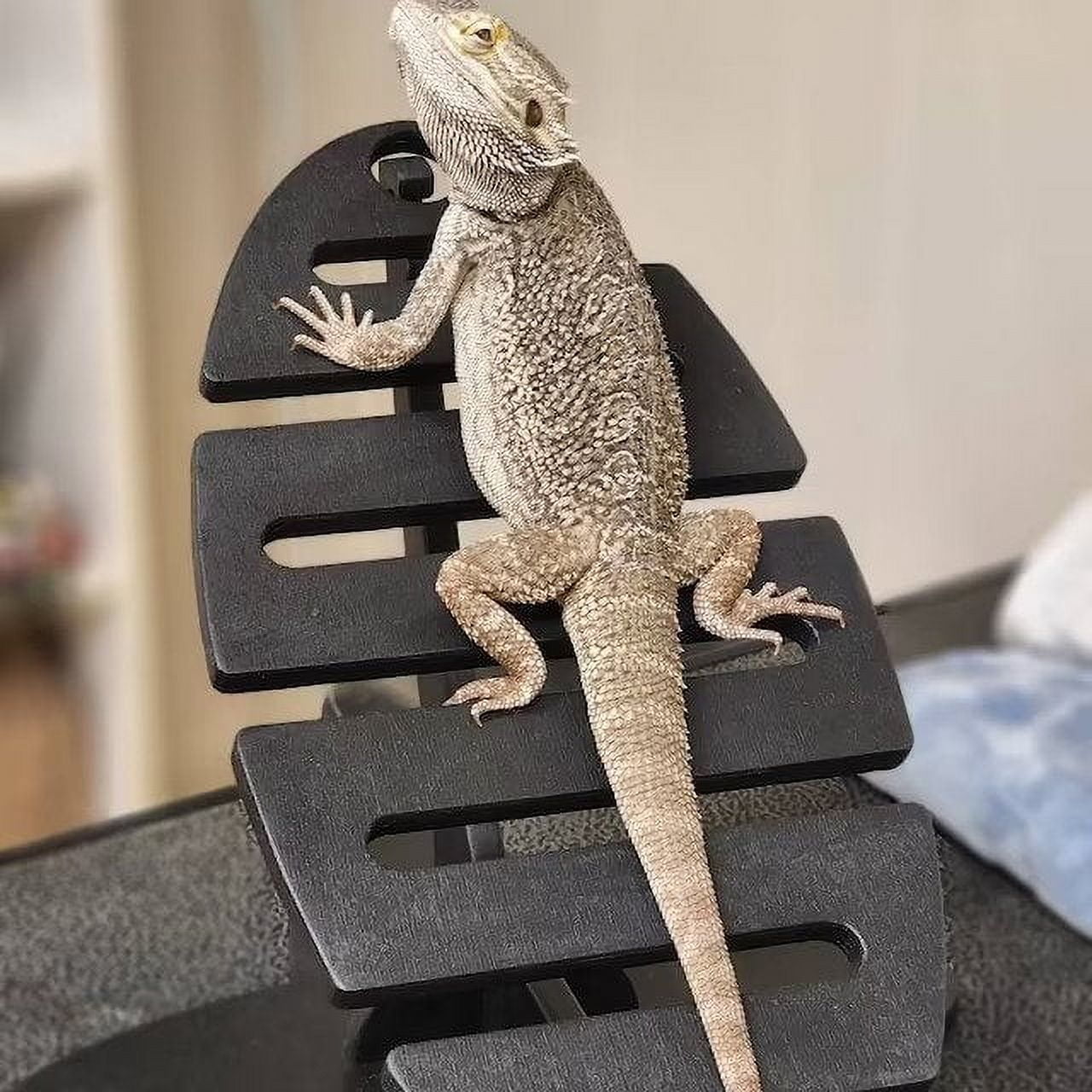 Wooden Hammock for Pet Reptiles