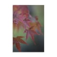 thumbnail image 2 of Gango Home Decor Japanese Maple V by Rita Crane (Printed on Paper); One 24x36in Fine Art Paper Giclee Print, 2 of 4