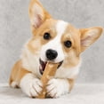 thumbnail image 2 of Coffee Wood Dog Chew Stick, Natural Wooden Stick for Moderate Chewers, Durable Dog Teething Toy Stick, 2 of 7