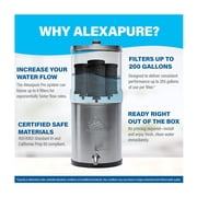 Alexapure Pro Filter Replacement 2-Pack, Black