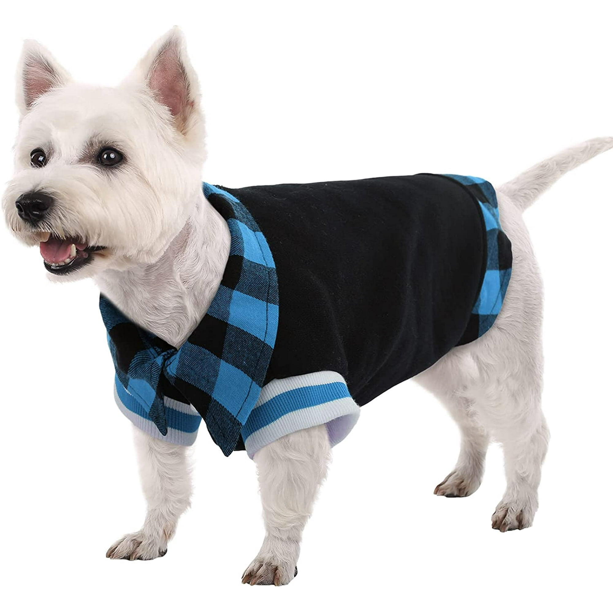 Should Dogs Wear Sweaters In The Winter