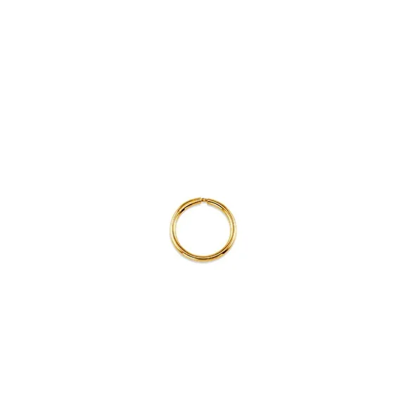 Mini Dainty Gold Hoops