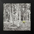 thumbnail image 2 of Blaustein, Alan 20x20 Black Modern Framed Museum Art Print Titled - Sunflower Bicycle Ride, 2 of 5