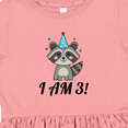 thumbnail image 4 of Inktastic 3rd Birthday Funny Raccoon 3 Year Old Girls Toddler Dress, 4 of 5