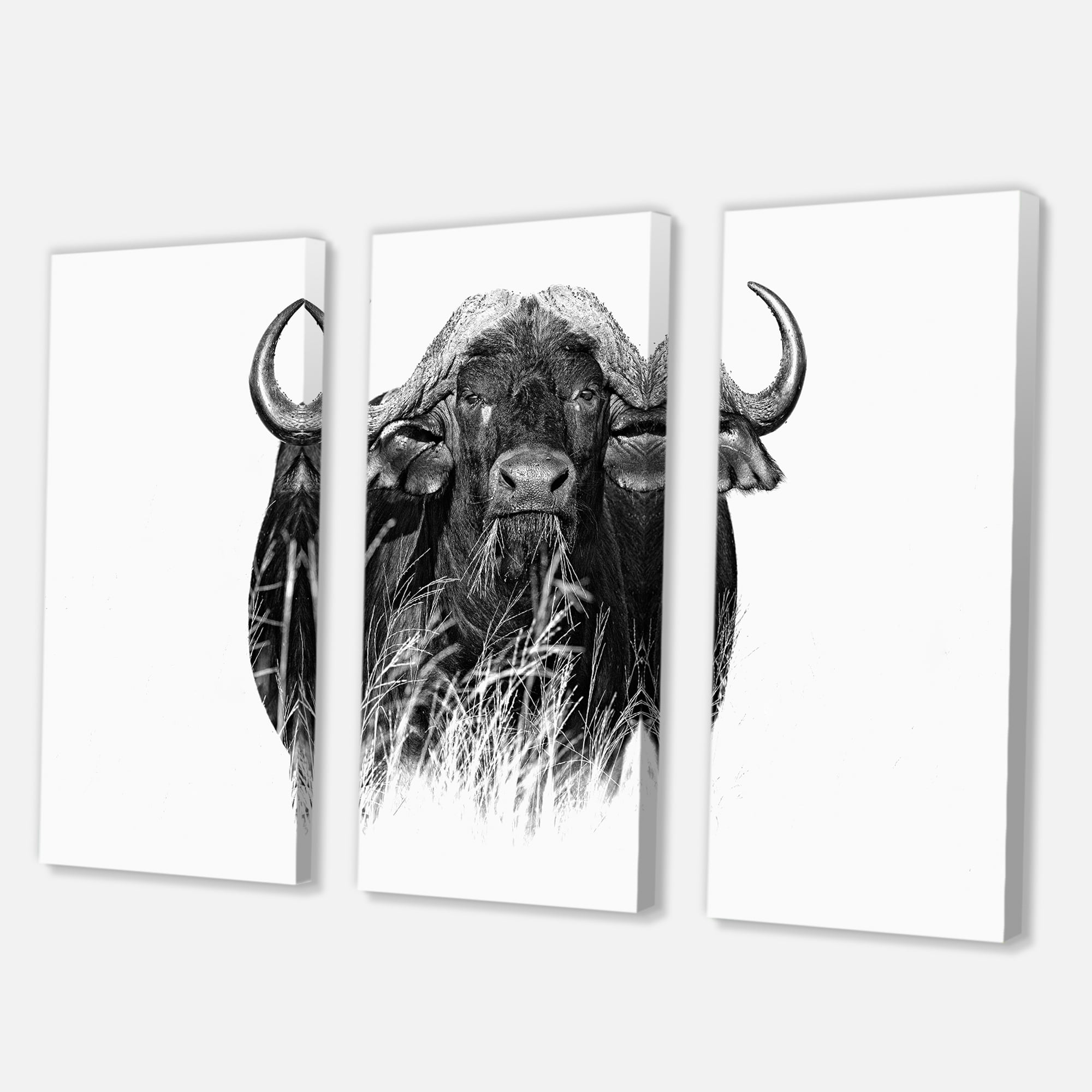 Designart ' Black and White Portrait Of Buffalo IV ' Farmhouse Canvas Wall Art Print