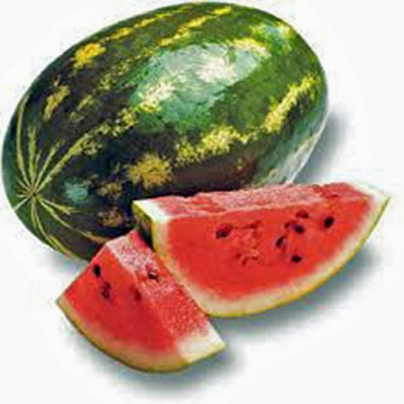 Watermelon, Florida Giant, Heirloom, 200 Seeds, Large
