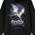 thumbnail image 2 of Harry Potter Thestral Seen By Death Long Sleeve Men's Black Hooded Sweatshirt-XS, 2 of 5