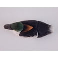 thumbnail image 3 of Goldeneye Wood Duck Miniature Hand-Made Wooden Carved Bird Decoy Figurines, 3.5 Inch, 3 of 3