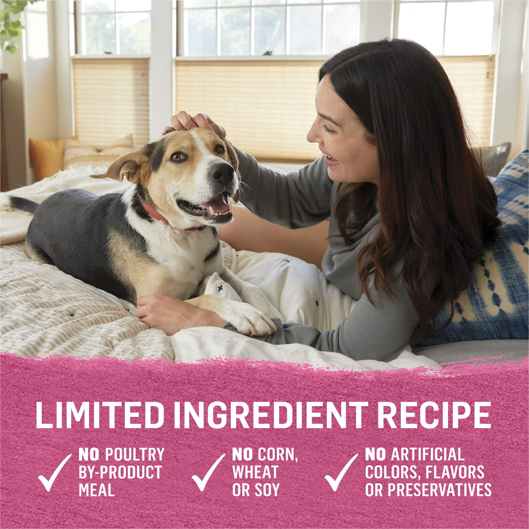 Purina Beyond Immune Health Wet Dog Food Natural Soft Beef & Spinach, 12.5 oz Can
