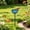 Glossy, variant on PLPPYFS Handmade Metal Flower Garden Stake Small Bird Bath Bowl, Outdoor Watering Station for Garden Yard, Hummingbird Fountain Butterfly Bee Water Feeder, Decorative Yard Art Ornament Gift
