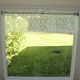 thumbnail image 3 of Floral Lace Window Valance 58 Inch Wide Ivory, 3 of 3