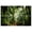 Color 1, variant on 8 Pack Art Acoustic Panels Sound Absorbing Lion portrait jungle forest Decorative Soundproof Wall Panels Self Adhesive for Recording Studios Office 48"x32"
