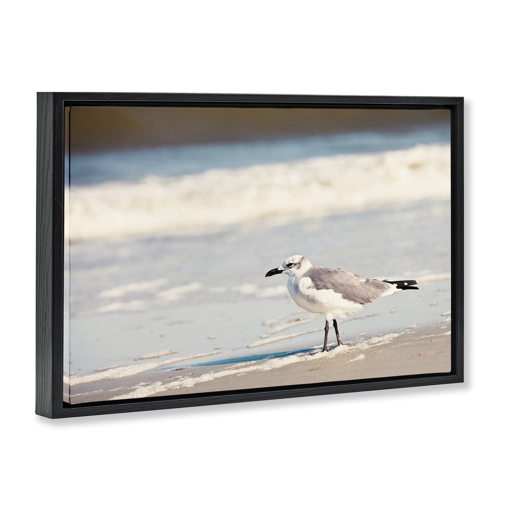 Stupell Industries Seagull Stepping on Shore Coastal Photography Black Floater Framed Canvas Art Print Wall Art, 25 x 17