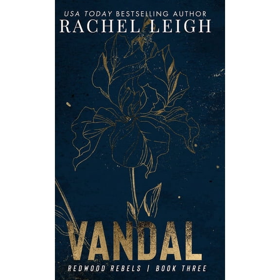Vandal, (Hardcover)