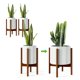 thumbnail image 1 of Soporte ajustable para plantas de interior, paquete de 2, bambú café oscuro, 8-12 pulgadas, 1 of 6