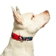 thumbnail image 6 of Vibrant Life Bone Print Fashion Dog Collar, Multicolored, Large, 6 of 10