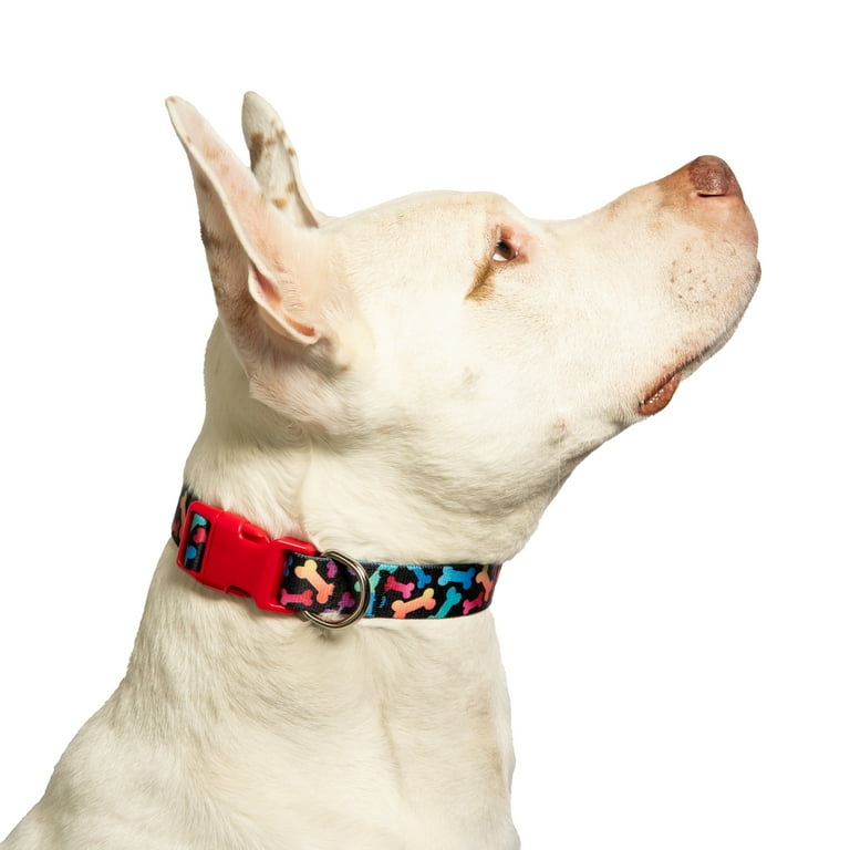 Vibrant Life Bone Print Fashion Dog Collar, Multicolored