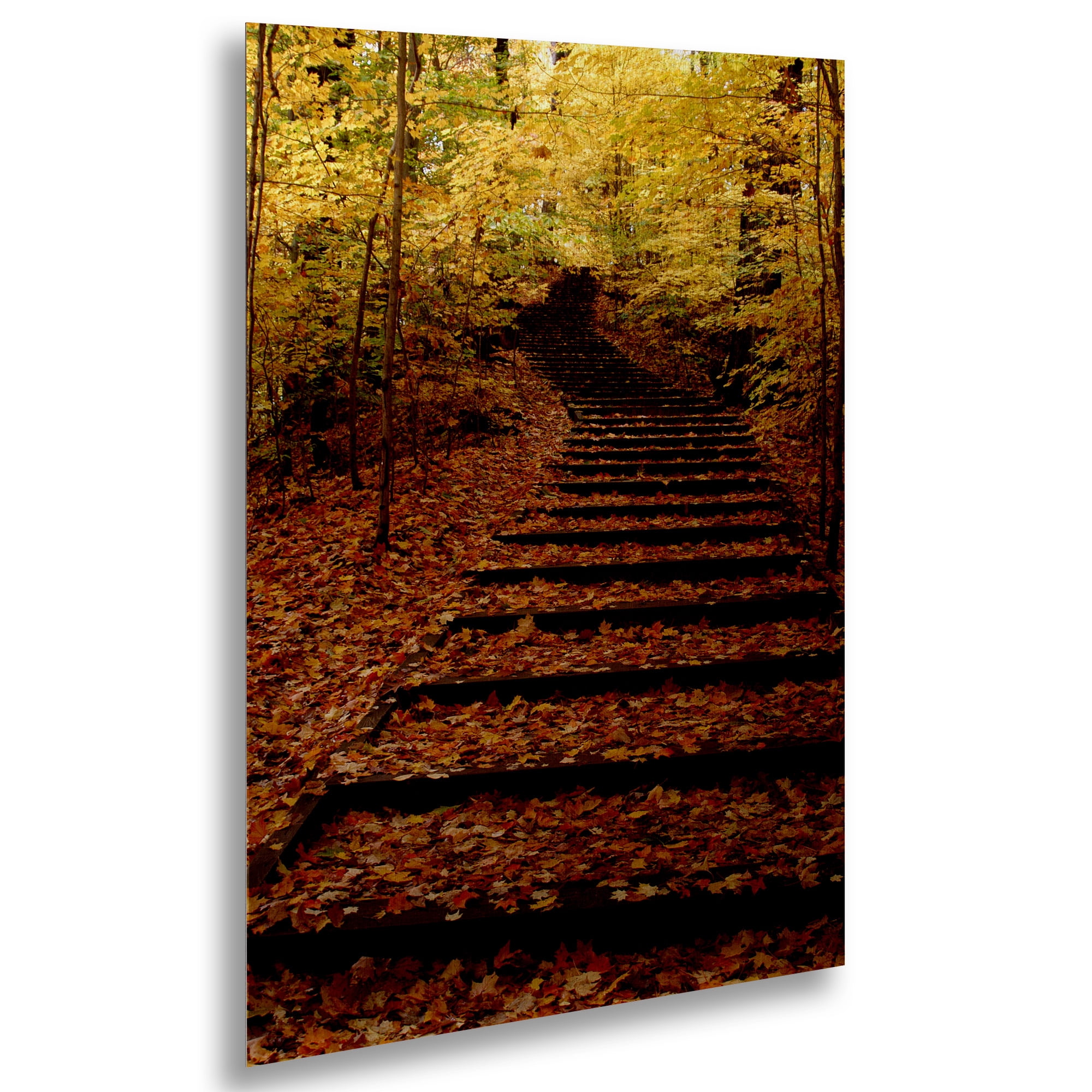 Trademark Fine Art 'Fall Stairway' Brushed Aluminum Wall Art Art by Kurt Shaffer