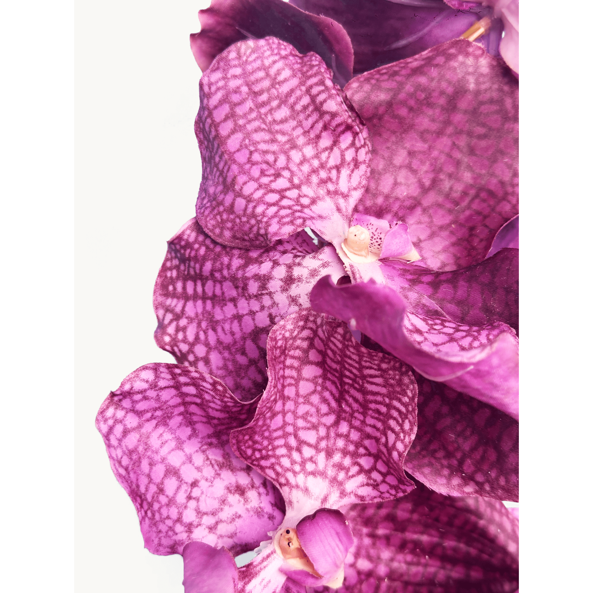 Amaranton 24" Real Touch Vanda Orchid - Reddish Purple 5Pcs Artificial Flowers Bouquet for Gift Home Decor Indoor Outdoor Faux Vanda Orchid Flower Fake Floral Arrangements