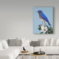 thumbnail image 3 of Trademark Fine Art 'Eastern Bluebird In Trees' Canvas Art by Carol J Rupp, 3 of 3