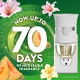 thumbnail image 3 of (5 pack) Air Wick Plug-In Scented Oil Air Freshener Warmer Refills, Summer Delights, 4 Count, 3 of 10