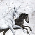 thumbnail image 2 of Great Art Now Wild Horse 2 by Design Fabrikken, Framed Wall Art, 17.5W x 17.5H, 2 of 3