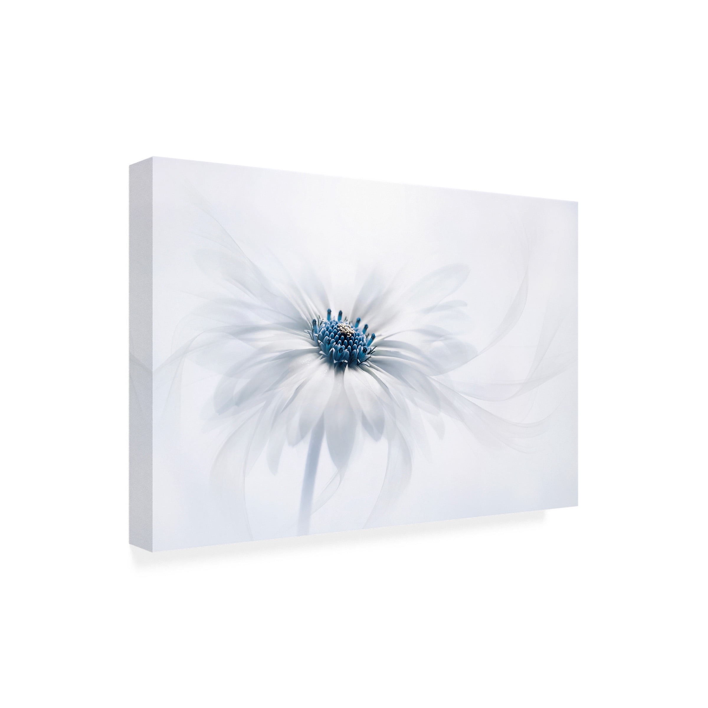 Jacky Parker 'Serenity' Outdoor All-Weather Wall Decor