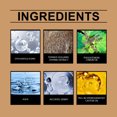 thumbnail image 4 of Roxelis Cologne For Men Ball Perfumes Lasting Fragrance Charming Charm With Everyday Fresh Fragrance Natural Perfume, 4 of 5