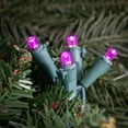 thumbnail image 4 of Northlight LED Wide Angle Christmas Lights - Pink - 16.25' Green Wire - 50ct, 4 of 6