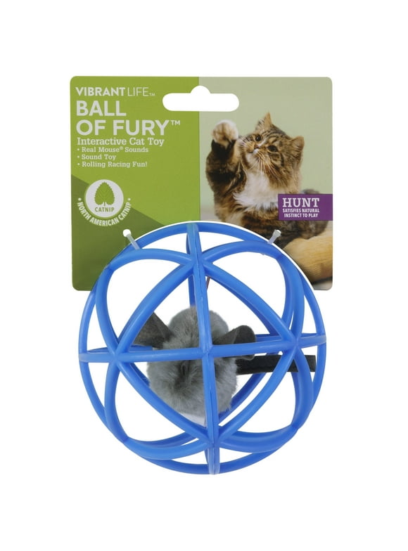 Interactive Cat Toys in Cat Toys