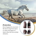 thumbnail image 4 of Advancent Suministros ecuestres Equipo de protección frontal ligero resistente al desgaste con sujetador de nylon Buena elasticidad Legging Tightness Cuidado ecuestre y deportes Azul L Advancent OD025315-11, 4 of 6