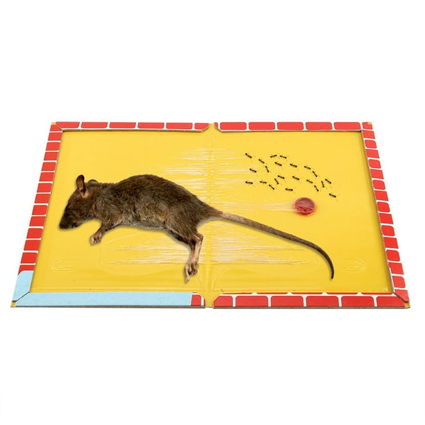 Mgaxyff Strong Adhesive Mouse Glue Trap, Tasty Meat Scent Mouse Glue