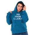 thumbnail image 4 of No Problama Llama Alpaca Cute Funny Hoodie Sweatshirt Women Men Brisco Brands 2X, 4 of 6