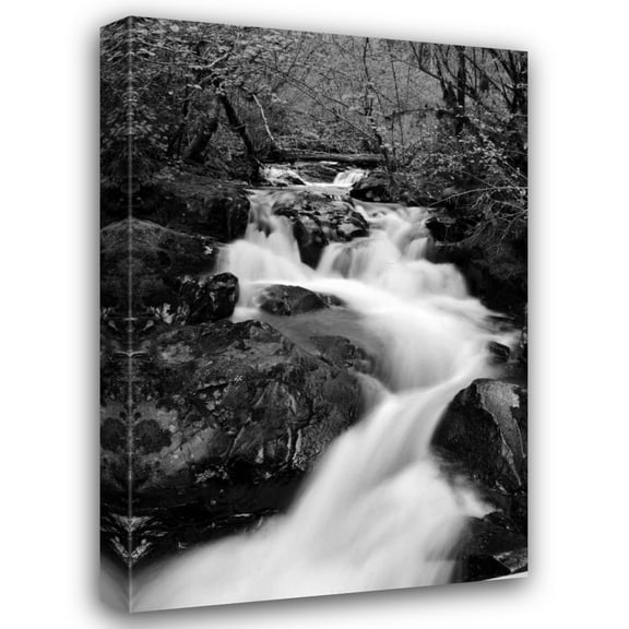 Brian Moore 17x24 Gallery Wrapped Canvas Wall Art Titled - Waterfall II