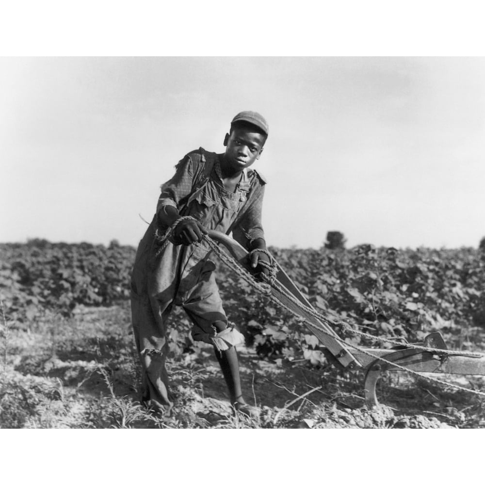 Teenage Sharecropper. NthirteenYearOld Sharecropper Boy Near Americus