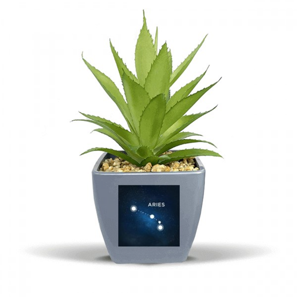 Aries Constellation Zodiac Sign Fake Pineapple Flower Pot Vase Mini Decor
