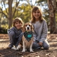 thumbnail image 3 of Dog Bandana 1 Pack,Math Equations Symbols Black Pattern Bandanas for Dogs,Cat Bandana,Small/ Large Dog Bandana 2 Size,Dog Bandanas, 3 of 6